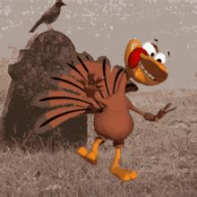 Funny Animated Turkey GIFs | Tenor