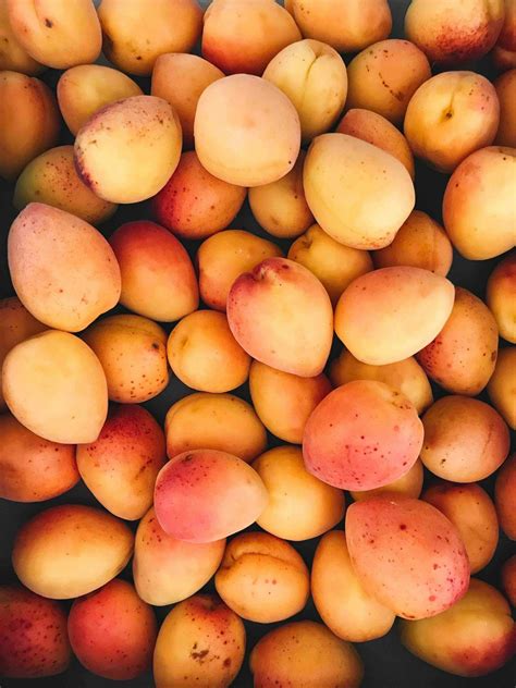 What Month Are Peaches In Season at Brianna Hort blog