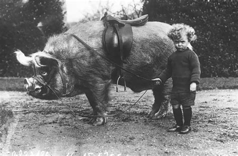 "old looking young people" - Rare Historical Photos