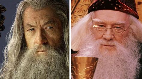 Harry Potter : Ian McKellen (Gandalf) a refusé de jouer Dumbledore (et ...
