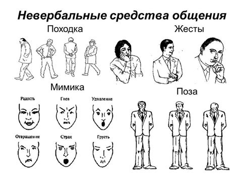 Важность невербальной коммуникации — Студопедия.Нет