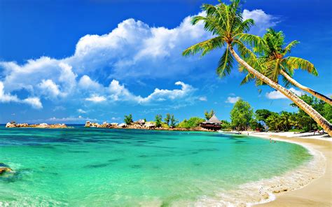 Beach Wallpapers HD - Wallpaper Cave