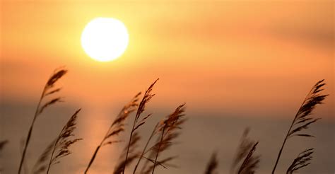 The Feast of Unleavened Bread - Sermons