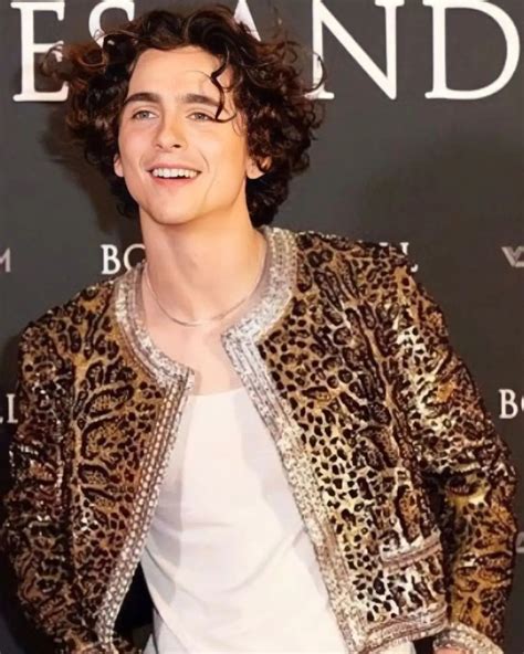 Timothée Chalamet Hairstyle (81) | November