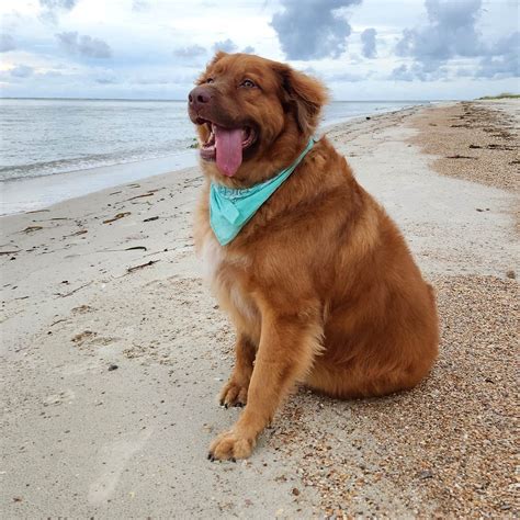 Indian Pass Campground | Port St. Joe, Florida