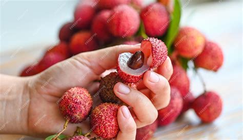 Premium Photo | Lychees on hand fresh ripe lychee fruit tropical fruit ...