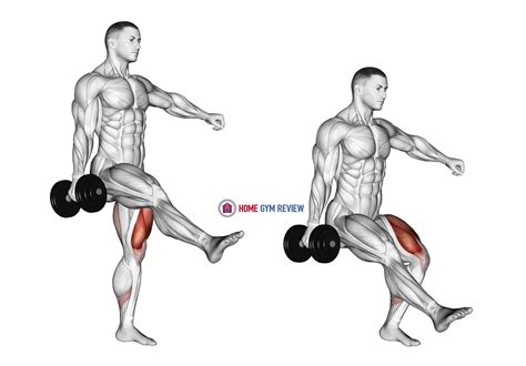 Dumbbell Single Leg Squat - Home Gym Review