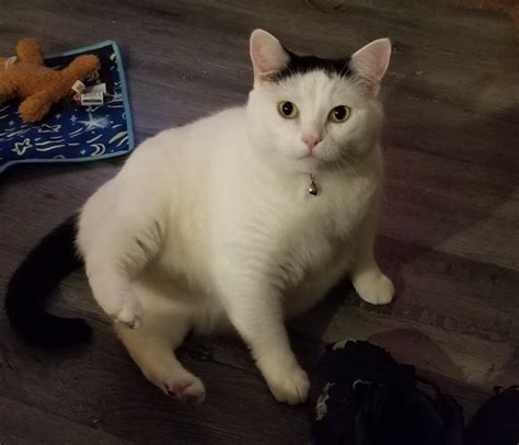 @ribs-grow-back on Tumblr