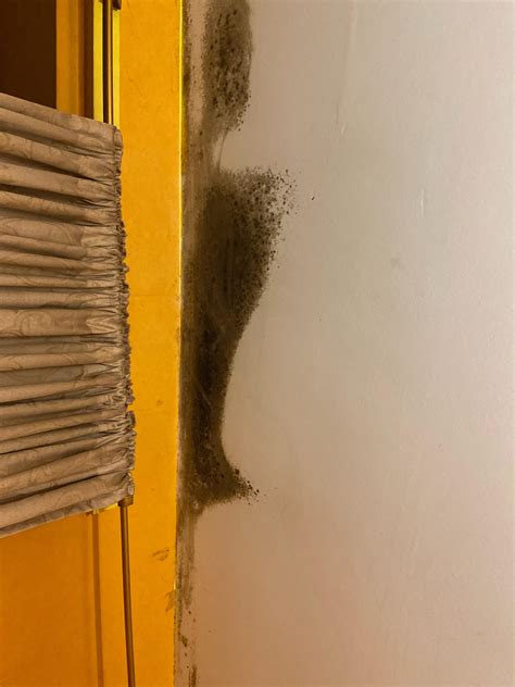 What Causes Mold On Bedroom Ceiling at Sean Swick blog