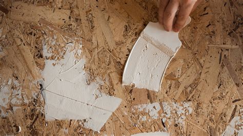 Stained Osb Floors | Floor Roma