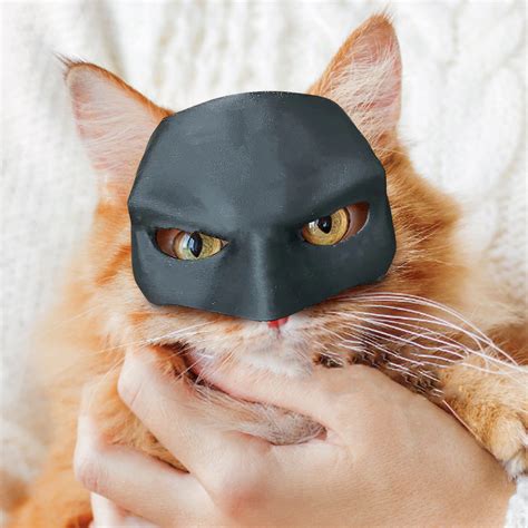 HeaDream 4.72" Batman Cat Mask Halloween Decor Pet Accessories, Funny ...