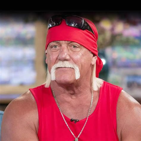 Hulk Hogan Movie 2022 on Sale | www.valleyglass.com