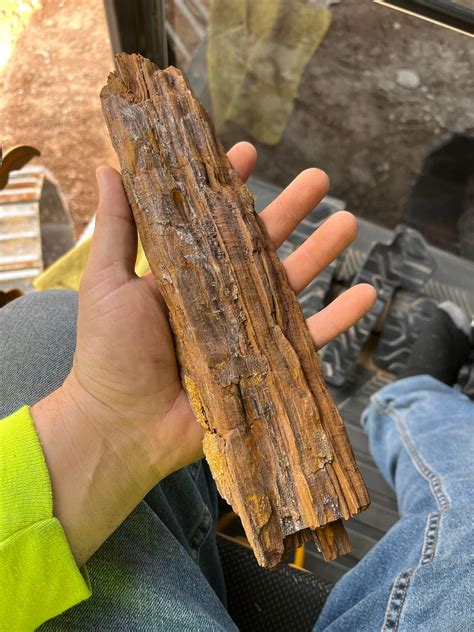 I believe this is petrified wood. It was in a huge piece a rock that ...