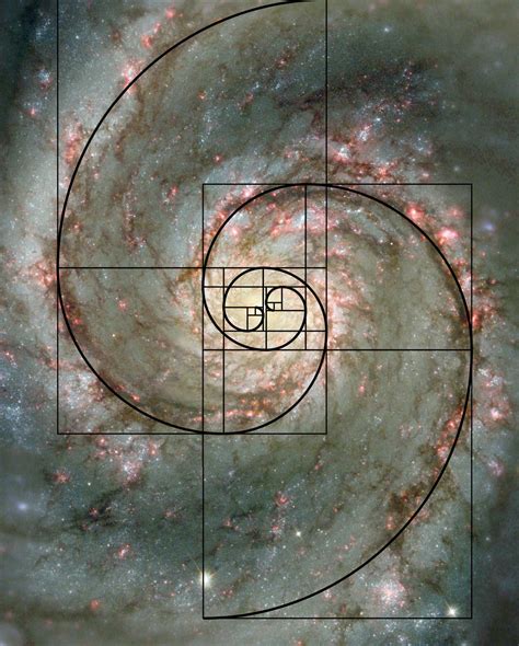 Fibonacci was the mathematician who introduced the Fibonacci sequence ...