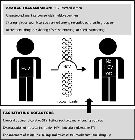 Emerging viral STIs among HIV-positive men who have sex with men: the era of hepatitis C virus ...