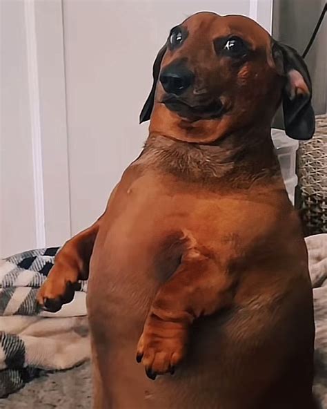 abbyy seidl | baeeee wya?? 🥺 | Instagram