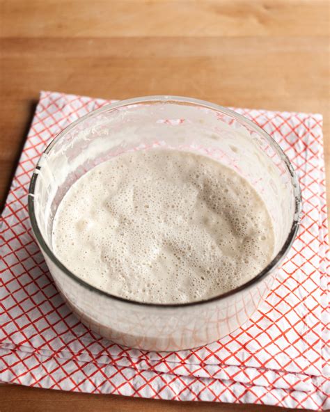 Easy Sourdough Starter Recipe (From Scratch) | The Kitchn