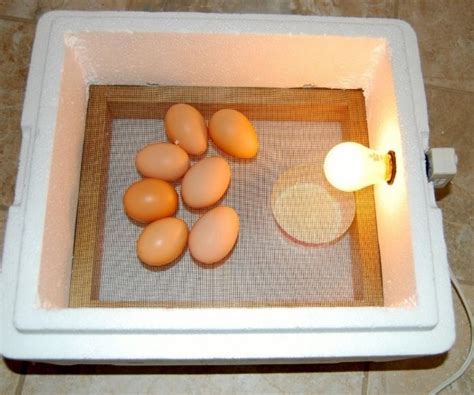 Как сделать инкубатор своими руками пошаговые инструкции - 33 ...