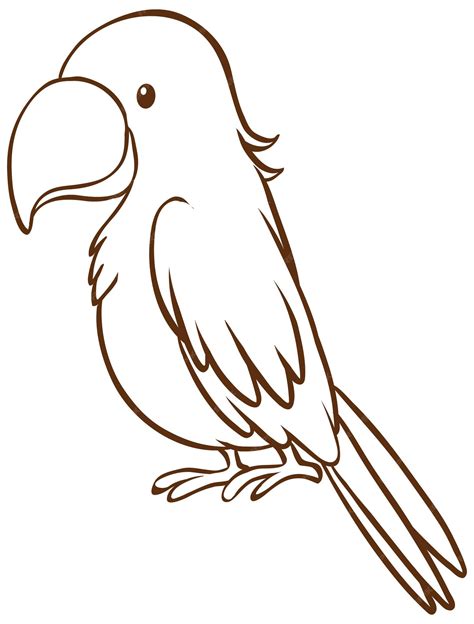 Parrot Outline Drawing