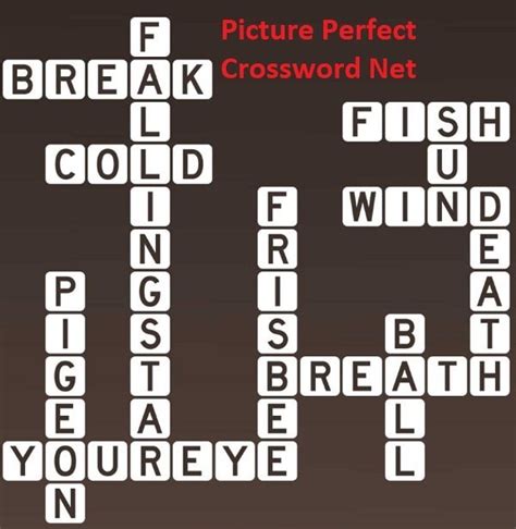 Things You Catch - Picture Perfect Crossword
