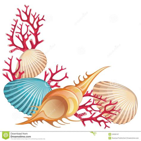 Seashells clipart 20 free Cliparts | Download images on Clipground 2024