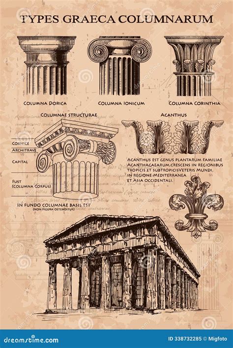 Poster Types Of Greek Columns Cartoon Vector | CartoonDealer.com #338732285