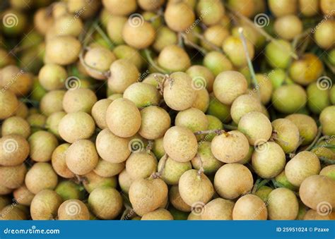 Longan Fruit . Stock Photo | CartoonDealer.com #43539930