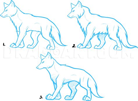 How To Draw Anime Wolves, Anime Wolves, Drawing, Step by Step, by Dawn ...