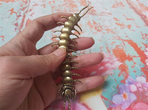 House Centipede Bite Marks