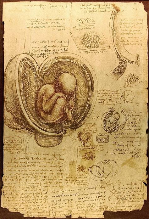 Leonardo Da Vinci Sketches Of Invention Parachute