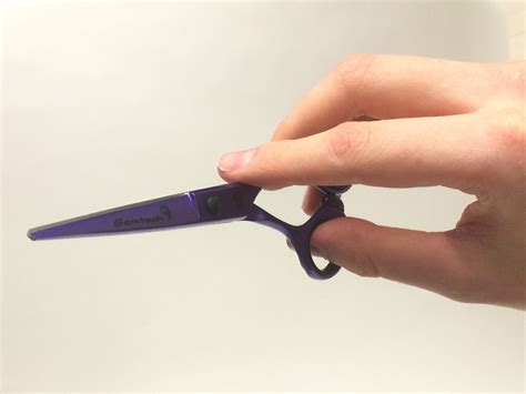 How To Use Hairdressers Scissors at Gary Cathey blog