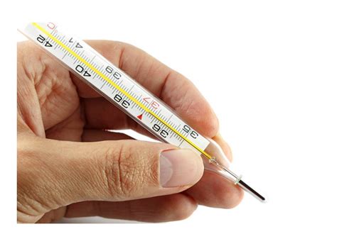 Thermometers with Mercury: Everything You Need to Know