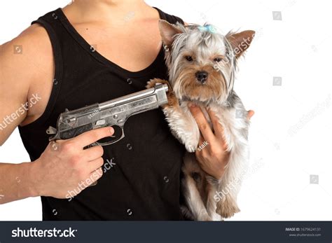 Mafia Dogs: Over 473 Royalty-Free Licensable Stock Photos | Shutterstock