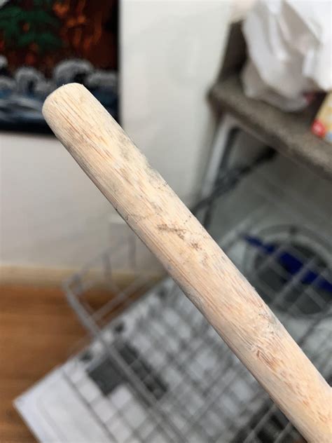 Mold on wooden spoon, is it trash? : r/MoldlyInteresting