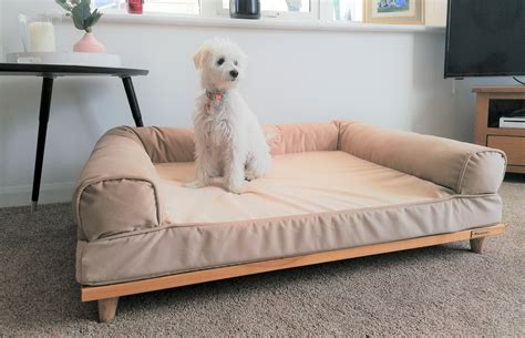 Luxury Sofa Beds For Dogs at Kathryn Edmondson blog