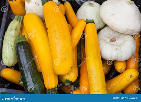 Squashes stock image. Image of agriculture, growing, sorts - 37411297