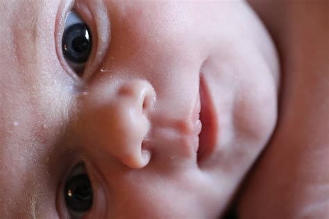 babyhood, body part, 5K, new born baby, flaky skin, newborn baby lip, close-up, portrait, baby ...