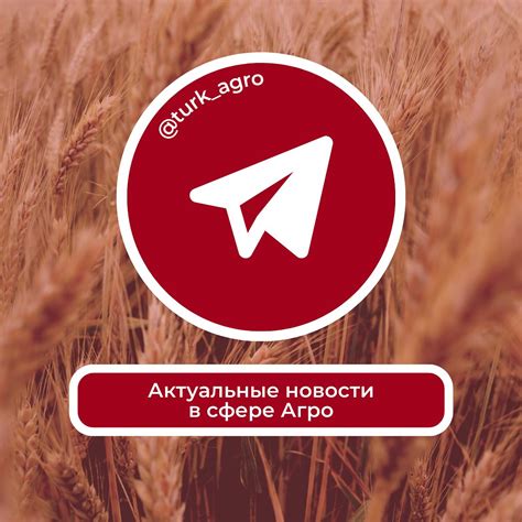 AgroDry | Voronezh