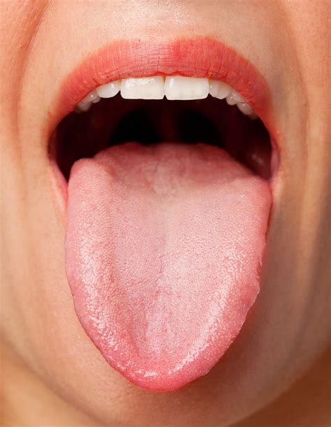 Normal Tunge 890+ Human Tongue Anatomy Stock Photos, Pictures