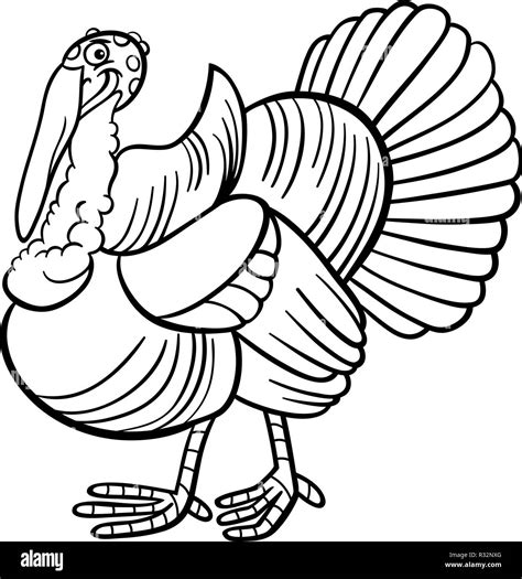 Turkey Bird Drawing Black and White Stock Photos & Images - Alamy