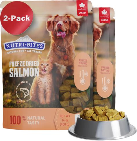 Salmon Dog Food Makes Dog Smell at Connie Goodin blog