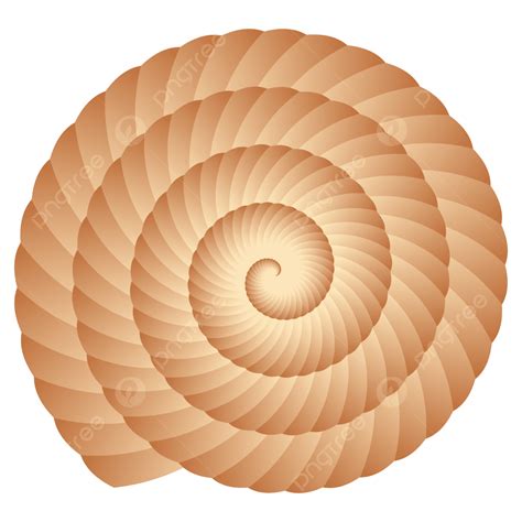 Snail Shell Texture at Selma Burns blog