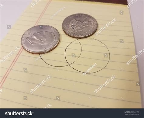 Two United States Dollar Coins On Stock Photo 732604153 | Shutterstock