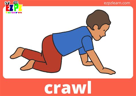 Verbs of Body Motion View Online or PDF Download - Ezpzlearn.com
