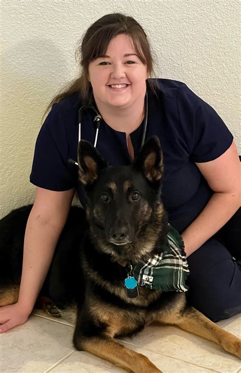 Our Team - Charlotte Animal Hospital in Port Charlotte – Meet Our ...