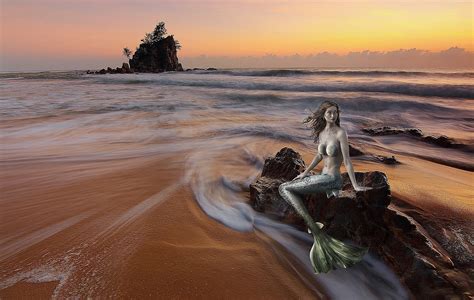 200+ Free Siren & Mermaid Photos - Pixabay