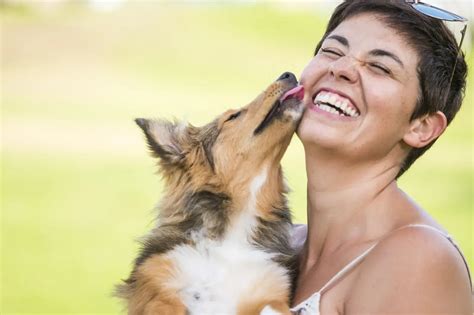 Do Dogs Understand Kisses? - Newsweek