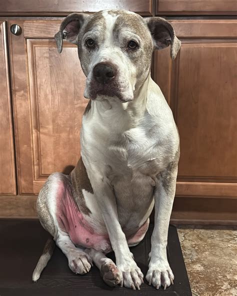 Stephanie Chavez (@stephc_tv) • Instagram photos and videos