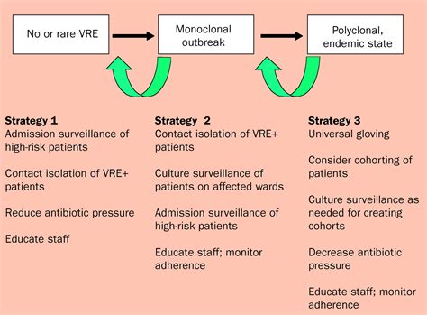 Vancomycin-resistant enterococci: why are they here, and where do they ...
