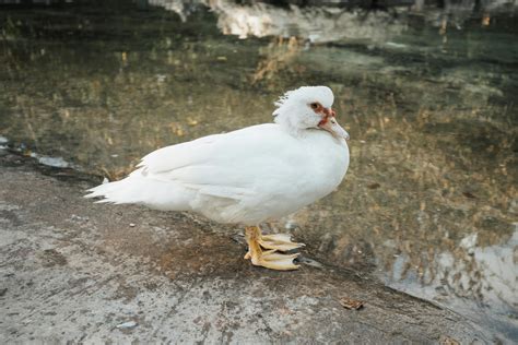 Ankha+Feet+R34 Photos, Download The BEST Free Ankha+Feet+R34 Stock ...